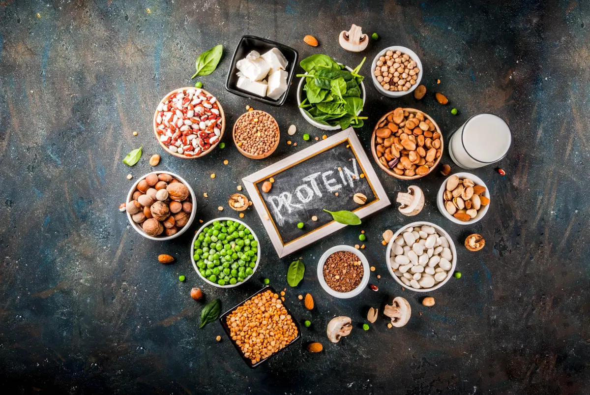 Plant-Based Protein: The Ultimate Guide for Muscle Growth, Weight Loss & Clean Nutrition