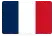 flag image