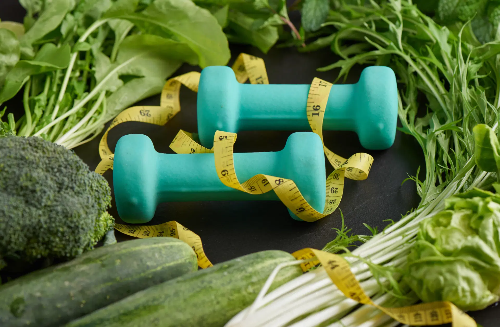 Plant-Based Protein: